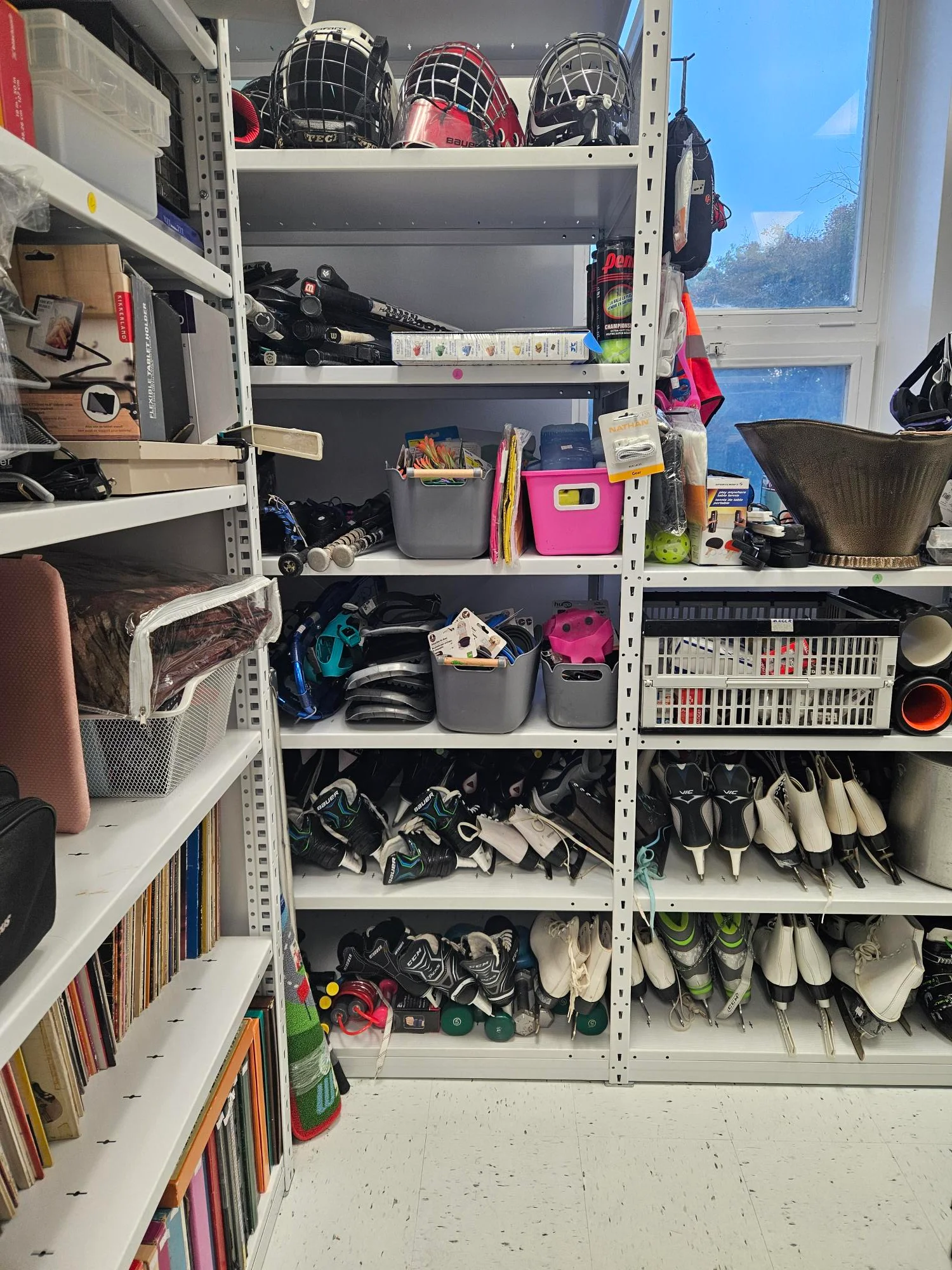 Les mini-puces du MSCCR